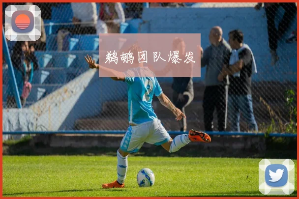 鹈鹕团队爆发