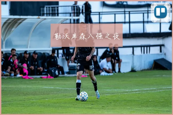 勒沃库森八强之夜