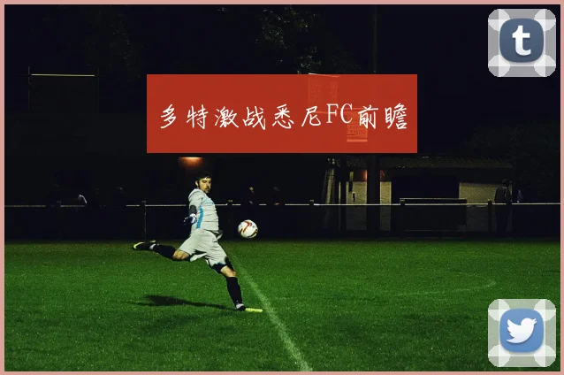 多特激战悉尼FC前瞻
