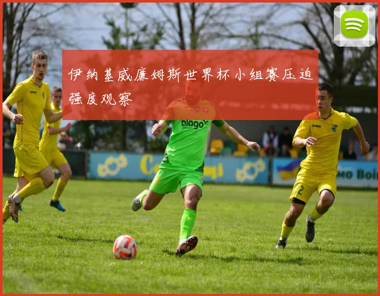 伊纳基威廉姆斯世界杯小组赛压迫强度观察